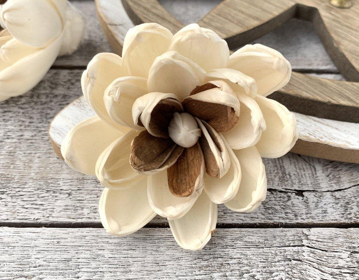Joie Sola Wood Flower - JOYNAGAR