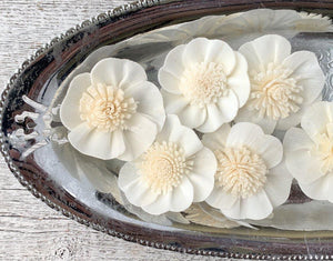 Eco-friendly wood flowers in vibrant colors