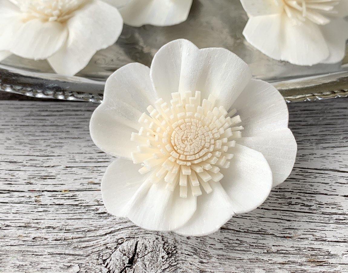 Close-up of Apple Blossom Sola Wood Flowers