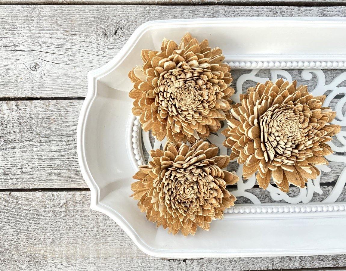 Skin Zinnia Sola Flower - JOYNAGAR