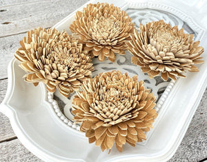 Skin Zinnia Sola Flower - JOYNAGAR