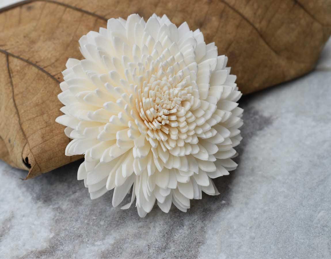 Wild Zinnia Sola Wood Flower - JOYNAGAR