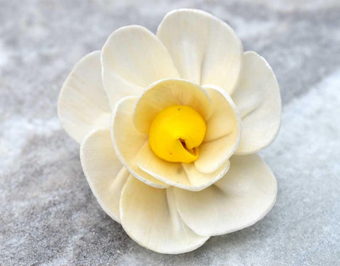 Yellow Harmony Sola Wood Flower - JOYNAGAR