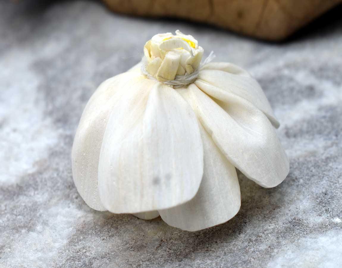 Yellow Harmony Sola Wood Flower - JOYNAGAR