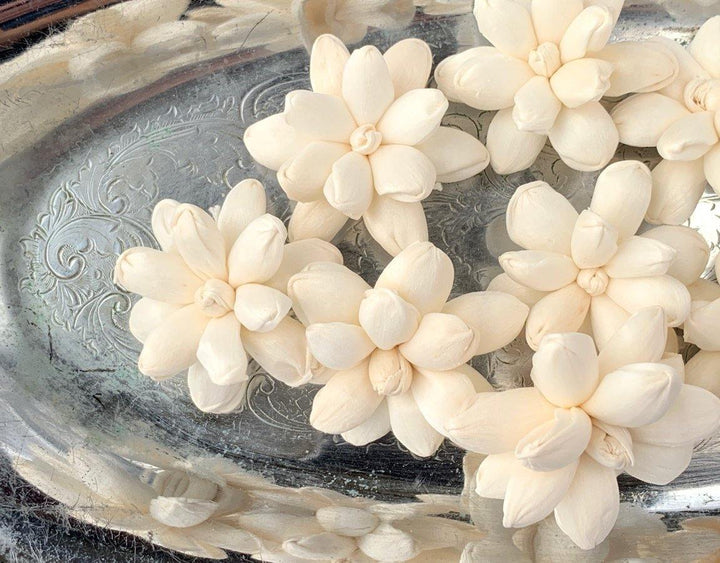 Shelia Sola Wood Flower - JOYNAGAR