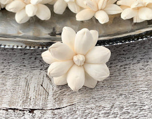 Shelia Sola Wood Flower - JOYNAGAR