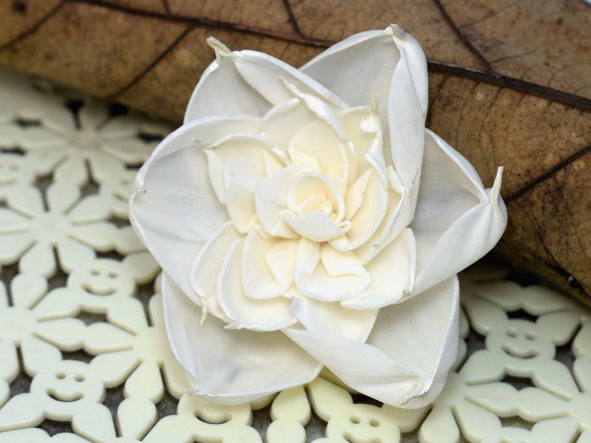 Amber Sola Wood Flowers - Natural and Eco-Friendly Floral Decor