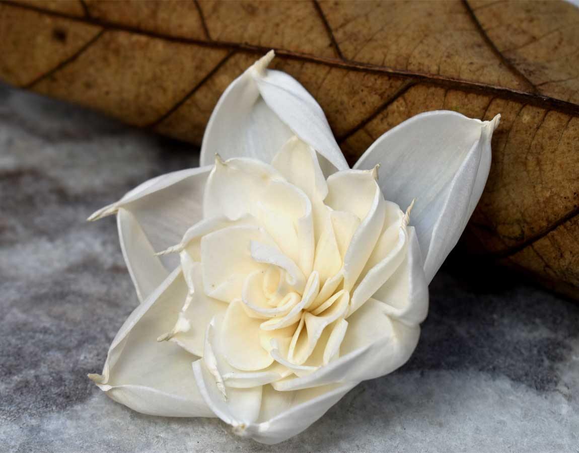 Bulk Amber Sola Wood Flowers - Ideal for Wedding Bouquets and DIY Crafts