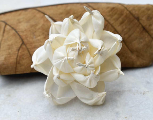 Azalea Sola Wood Flower For Decor - JOYNAGAR