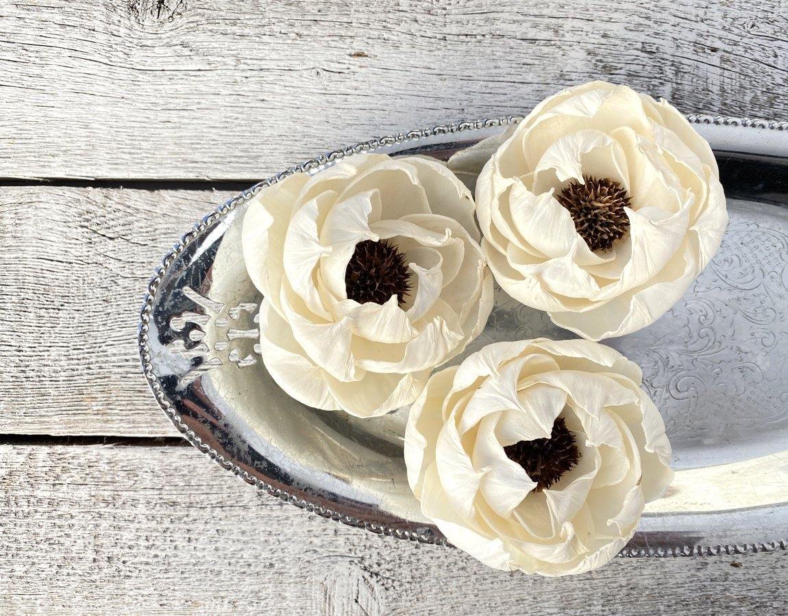 Black Pearl Sola Wood Flower - JOYNAGAR