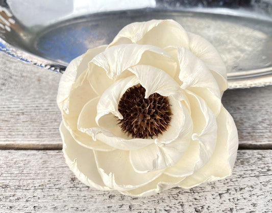 Black Pearl Sola Wood Flower - JOYNAGAR