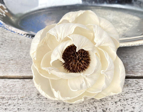 Black Pearl Sola Wood Flower - JOYNAGAR
