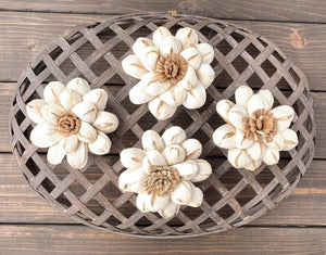 Chocolate Sun Sola Wood Flower - JOYNAGAR