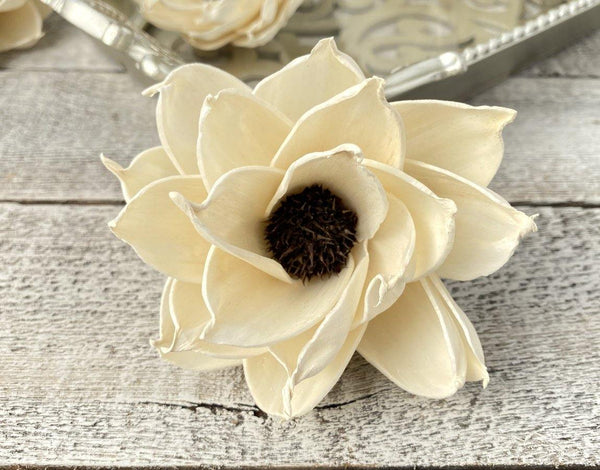 Daisy Eclipse Sola Wood Flower - JOYNAGAR