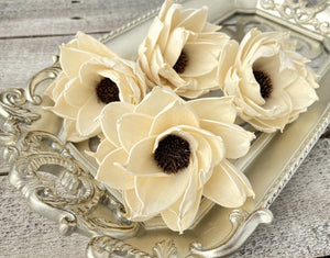 Daisy Eclipse Sola Wood Flower - JOYNAGAR