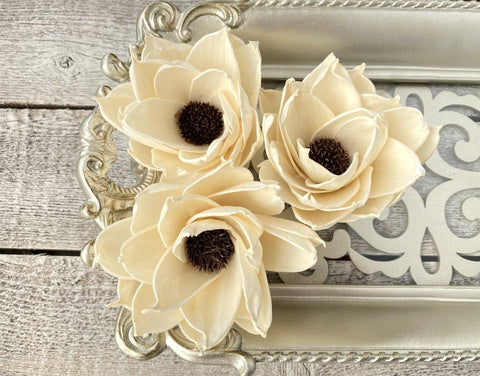 Daisy Eclipse Sola Wood Flower - JOYNAGAR
