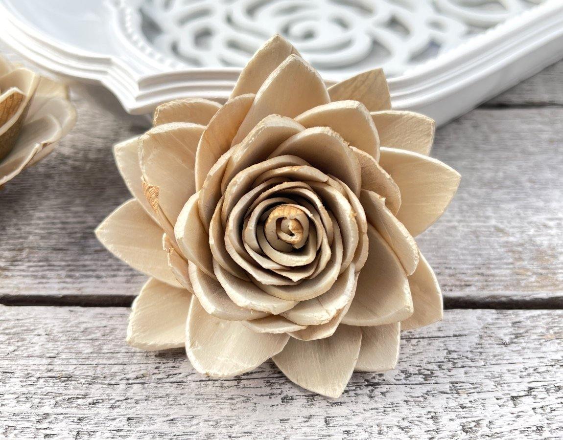 Desert Rose Sola Wood Flower - JOYNAGAR