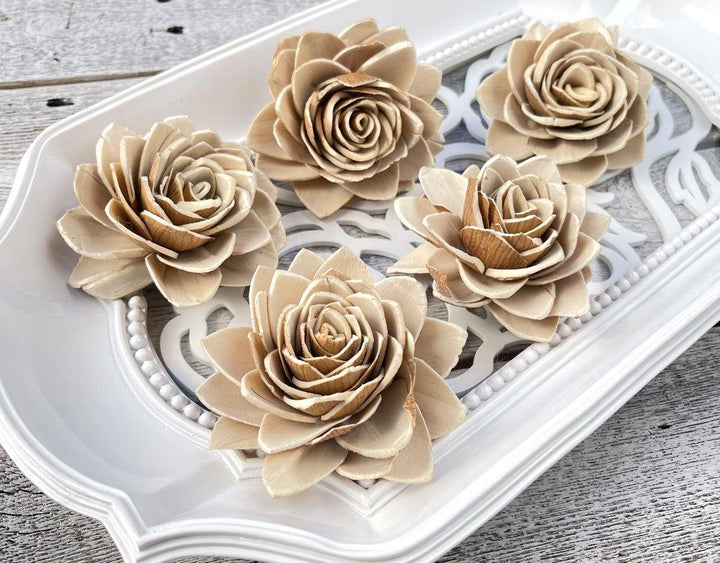 Desert Rose Sola Wood Flower - JOYNAGAR