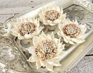 Aztec Sola Wood Flower - JOYNAGAR