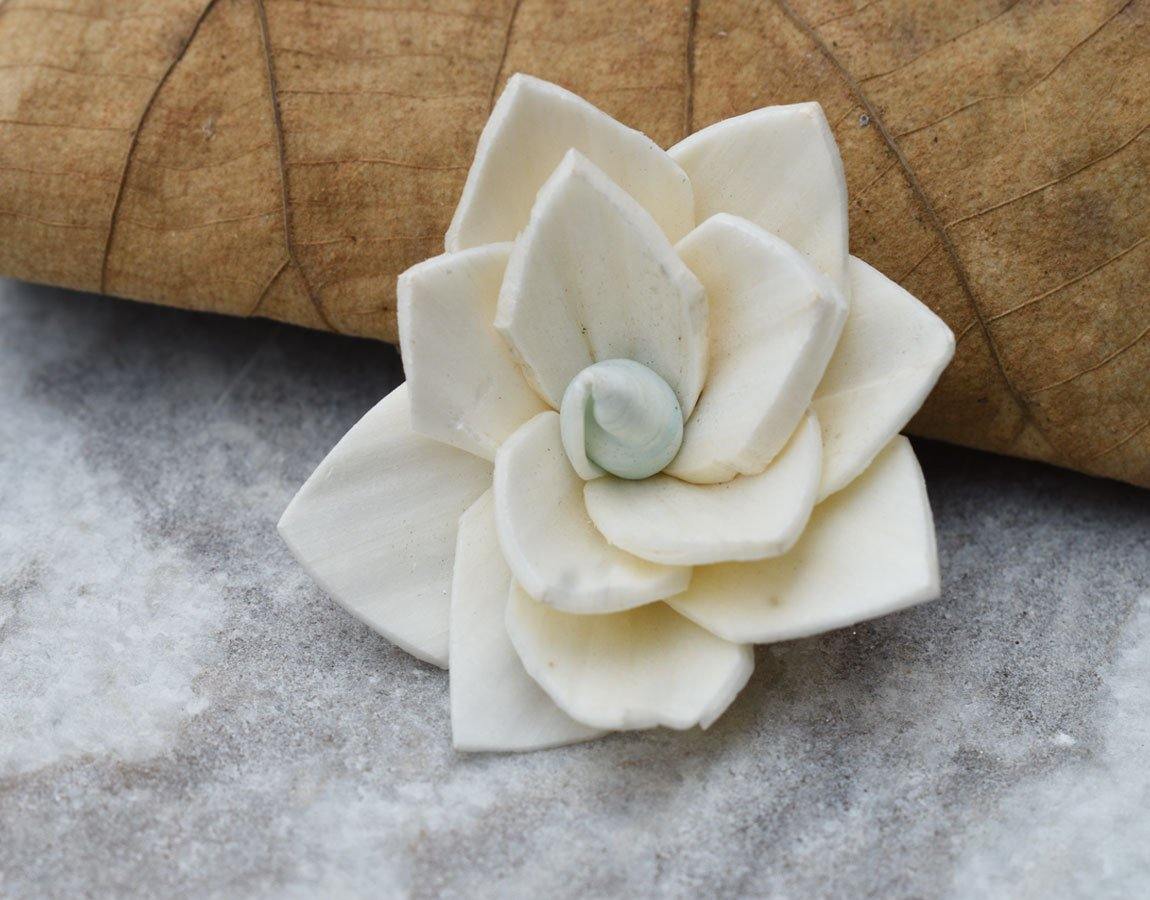 Kalina Sola Wood Flower - JOYNAGAR