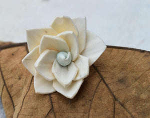 Kalina Sola Wood Flower - JOYNAGAR