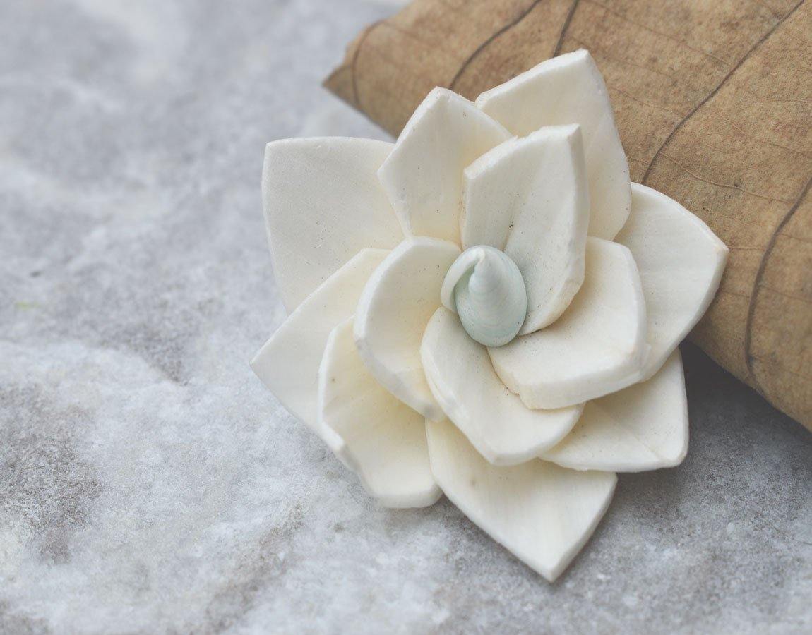 Kalina Sola Wood Flower - JOYNAGAR