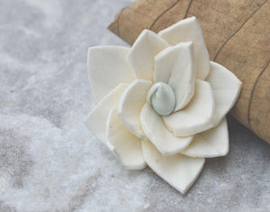 Kalina Sola Wood Flower - JOYNAGAR