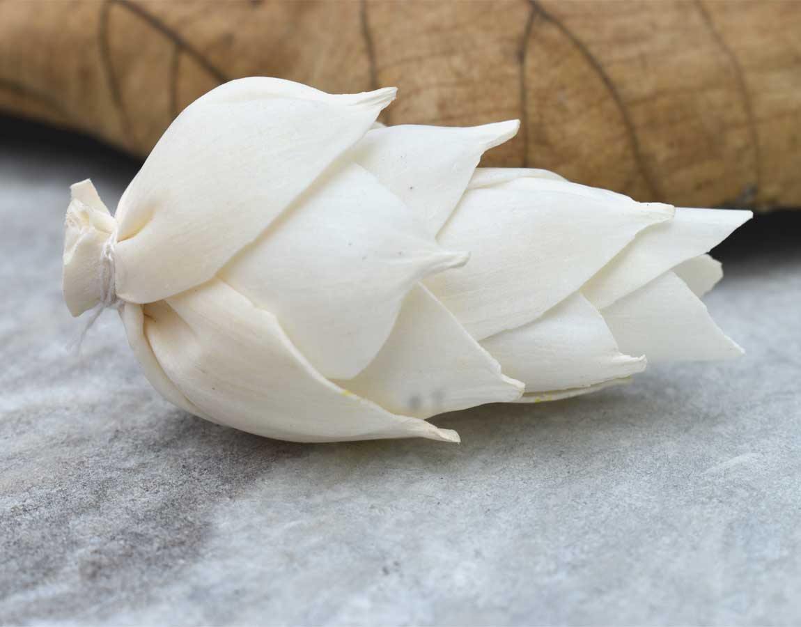 Leilani Pine Sola Wood Flower - JOYNAGAR