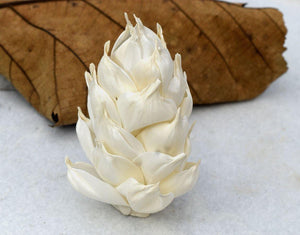 Leilani Pine Sola Wood Flower - JOYNAGAR