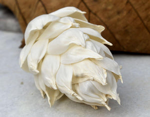 Leilani Pine Sola Wood Flower - JOYNAGAR