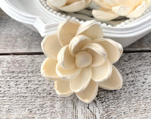 Leo Sola Wood Flower - JOYNAGAR