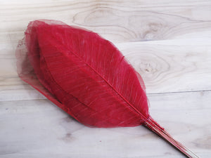 Color_Red