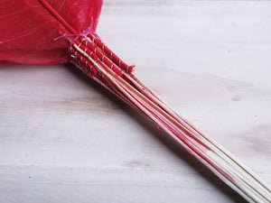 Color_Red