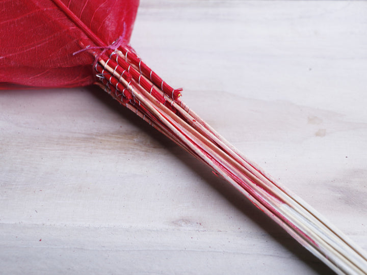 Long leaf Skeleton with Stem