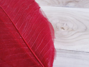 Color_Red