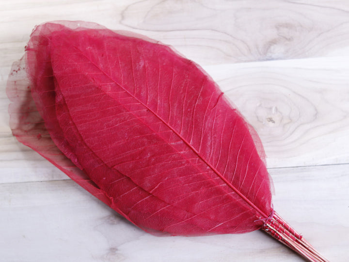 Long leaf Skeleton with Stem