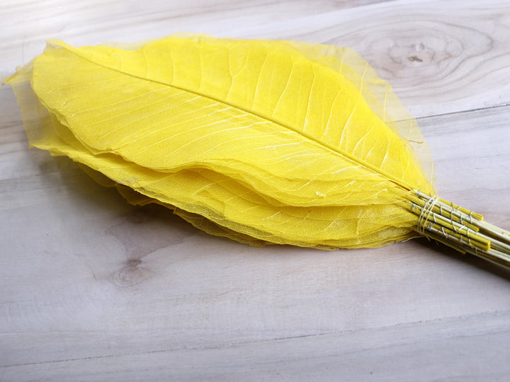 Long leaf Skeleton with Stem