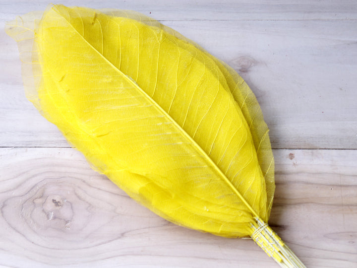 Long leaf Skeleton with Stem