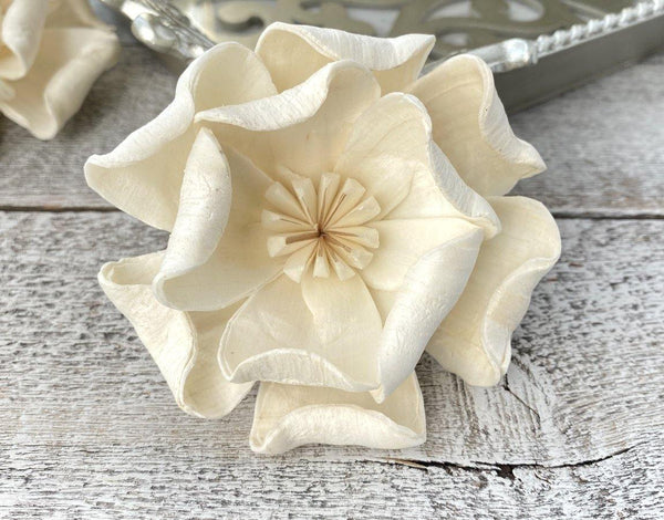 Mangolia Sola Wood Flower - JOYNAGAR
