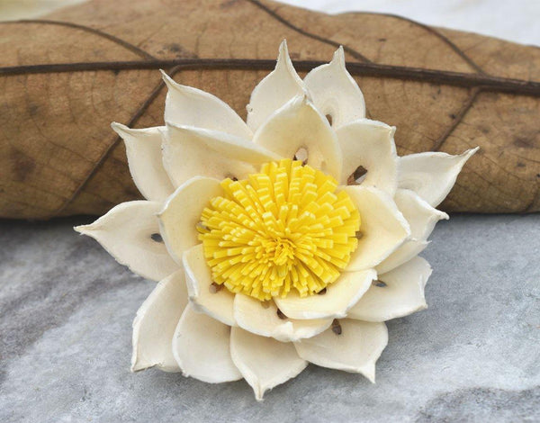 Marguerite Sola Wood Flower - JOYNAGAR