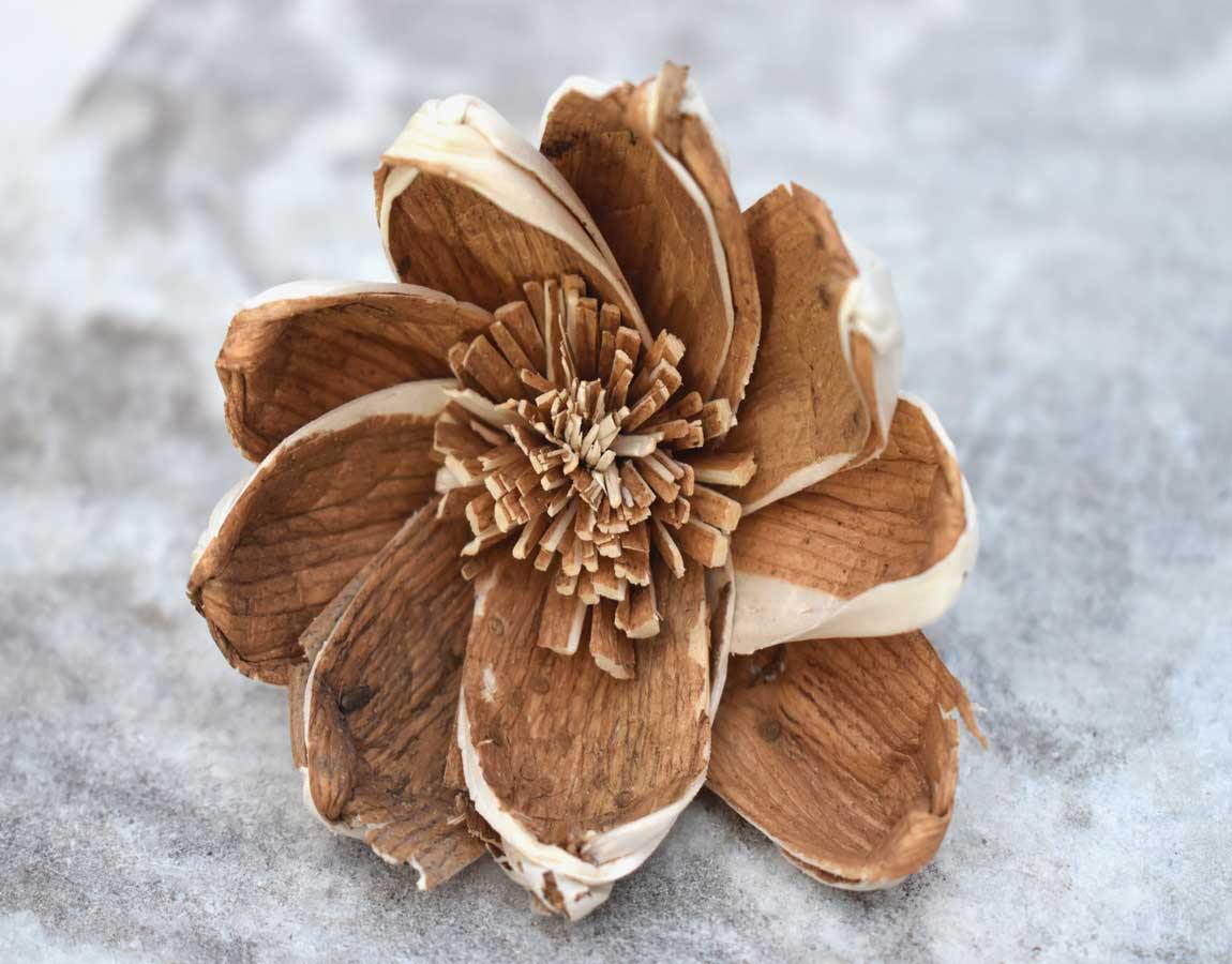 Milano Sola Wood Skin Flower - JOYNAGAR
