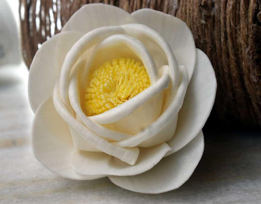 Musturd Rose Sola Wood Flower - JOYNAGAR