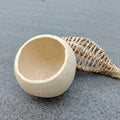 Natural Bengal Quince Dry Shell Cut - JOYNAGAR