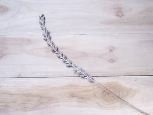 Dried Small Litchi Stick Joynagar Handicraft Homemade color_silver