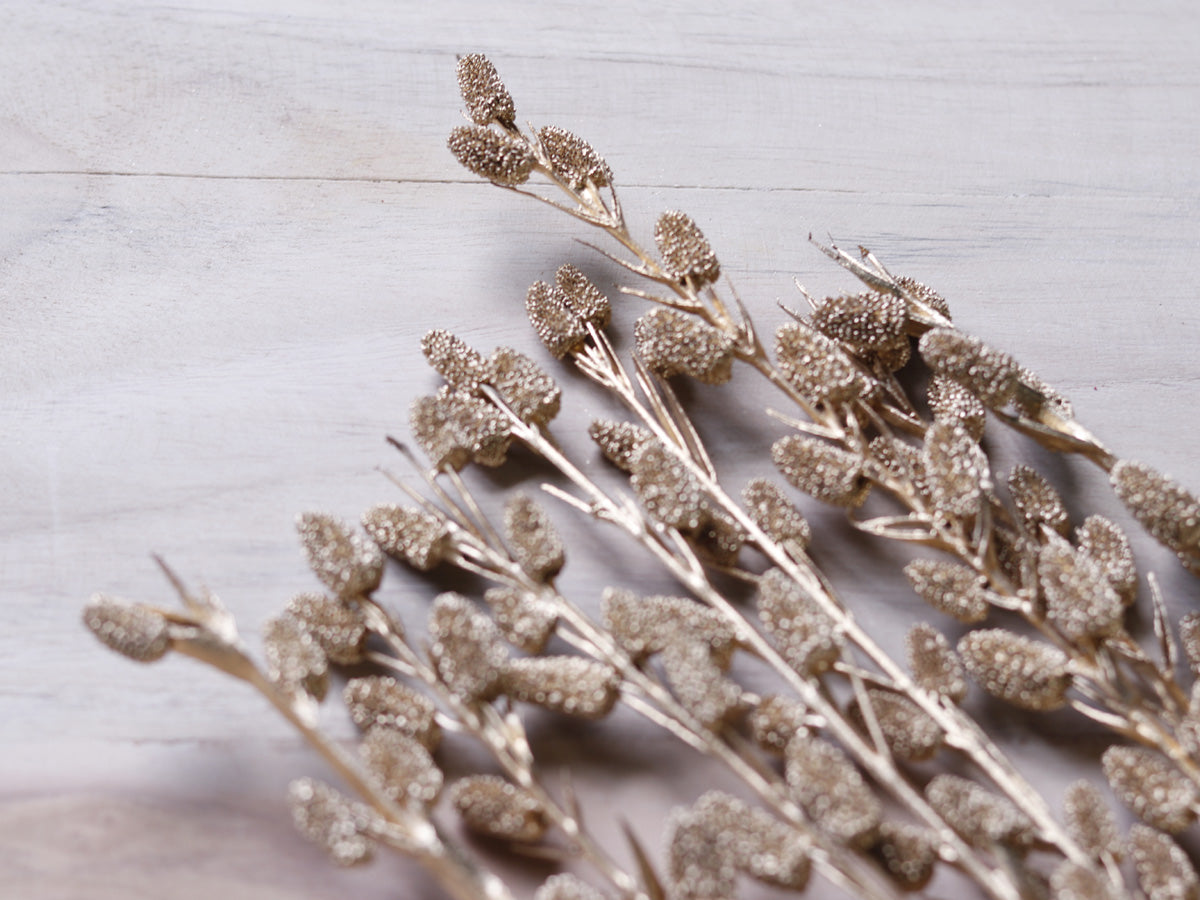 Dried Small Litchi Stick Joynagar Handicraft Homemade color_golden