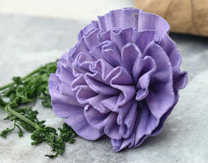 New Dawn Sola Wood Flower - JOYNAGAR