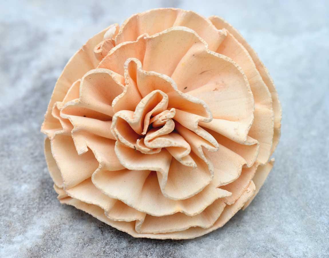 New Dawn Sola Wood Flower - JOYNAGAR