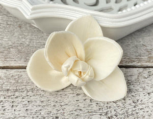 Orchid Sola Wood Flower - JOYNAGAR