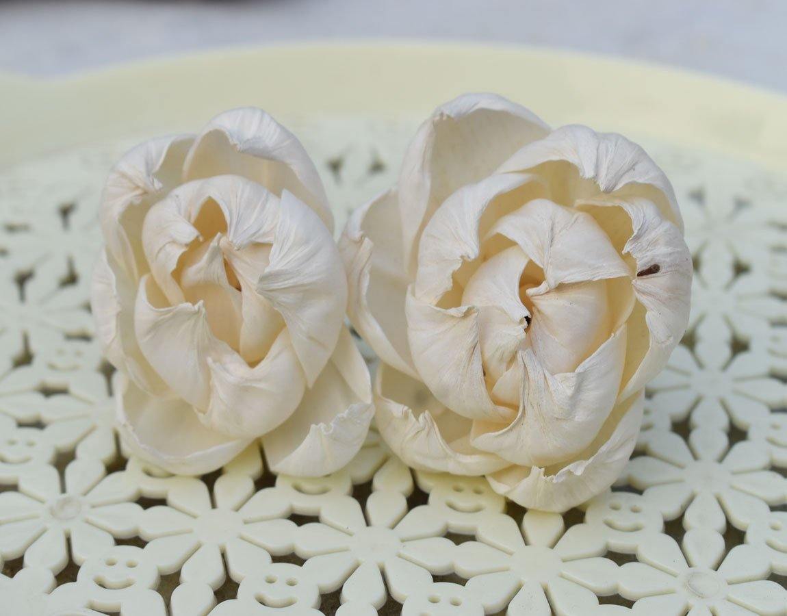 Peony Sola wood Flower - JOYNAGAR