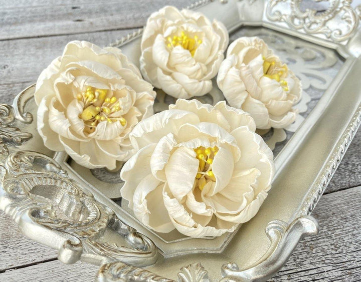 Pollen Peony Sola Wood Flower - JOYNAGAR